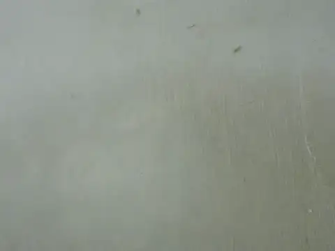 Snapshot of dickrus0077 chatting on February 25, 5:25 pm dickrus0077 online show from February 25, 5:25 pm