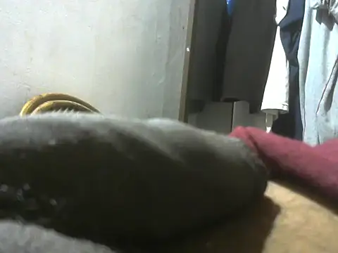 Snapshot of dickrus0077 chatting on October 9, 2:20 am dickrus0077 online show from October 9, 2:20 am