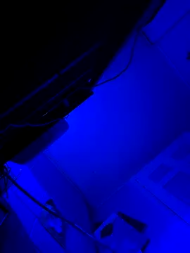 Snapshot of hotNReady6969 chatting on October 10, 10:14 am hotNReady6969 online show from October 10, 10:14 am