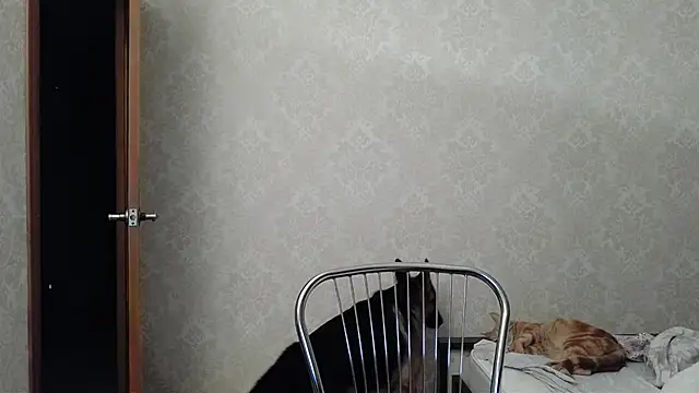 Kashtanka  online show from December 10, 4:56 am