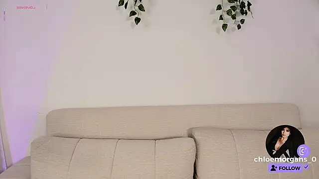 Chloe Morgans online show from November 19, 10:48 am