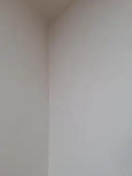 D vid99 online show from November 12, 2:06 pm