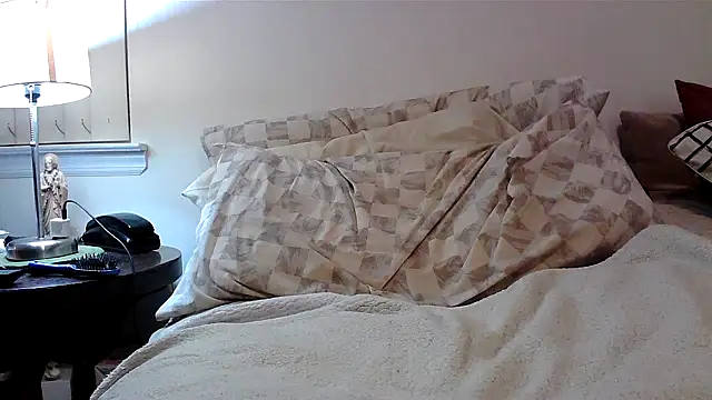 Snapshot of Hand69someguy chatting on December 5, 3:48 am Hand69someguy online show from December 5, 3:48 am