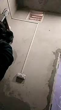 VyingAviary online show from December 10, 3:30 am