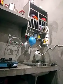 VyingAviary online show from February 11, 4:01 am