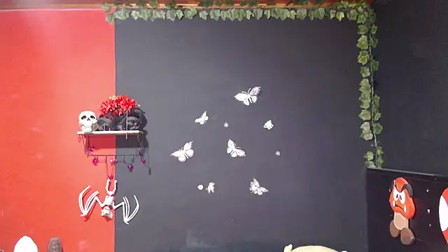Snapshot of MaggaCass chatting on December 29, 3:00 am MaggaCass online show from December 29, 3:00 am