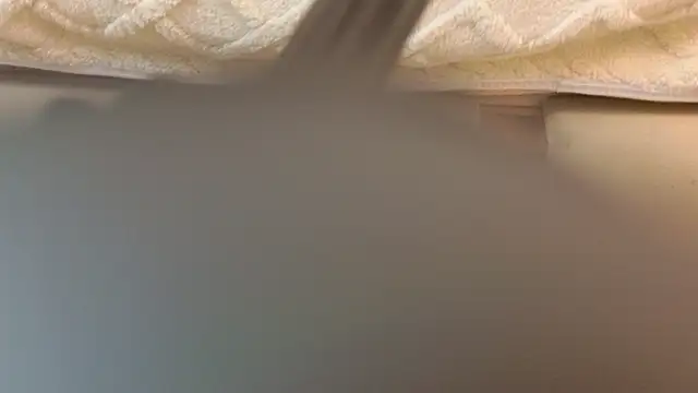 Ariana Lu online show from March 8, 11:37 am