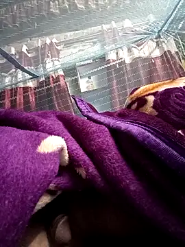 900irani online show from December 17, 12:12 am