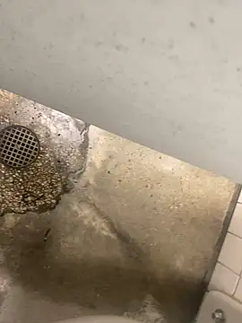 zeekBbc online show from December 10, 8:38 pm