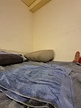 Snapshot of fox--3 chatting on February 10, 5:00 am fox--3 online show from February 10, 5:00 am