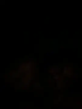 islandvybee55 online show from December 18, 9:47 am