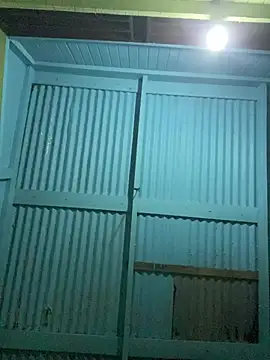 islandvybee55 online show from February 5, 3:55 am