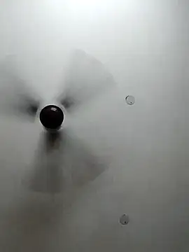 cutiecatty21 online show from October 23, 10:36 am