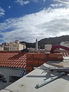 seloloko20 online show from January 28, 10:56 am