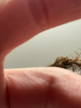 laninasub online show from April 23, 3:30 am