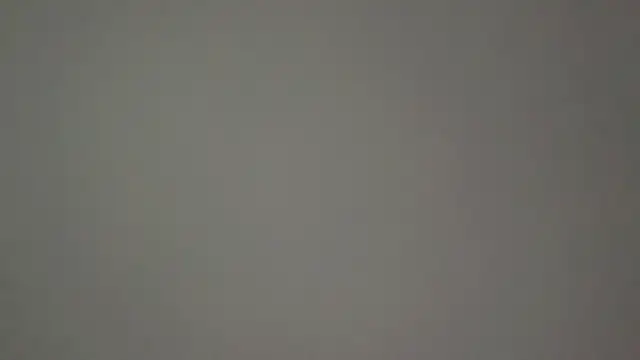 Control-model online show from December 15, 7:56 am