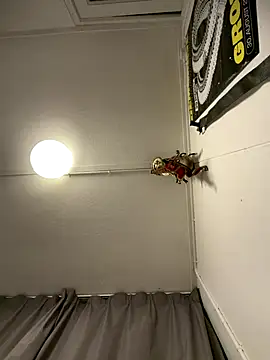 wolfwhite95 online show from November 14, 11:57 pm