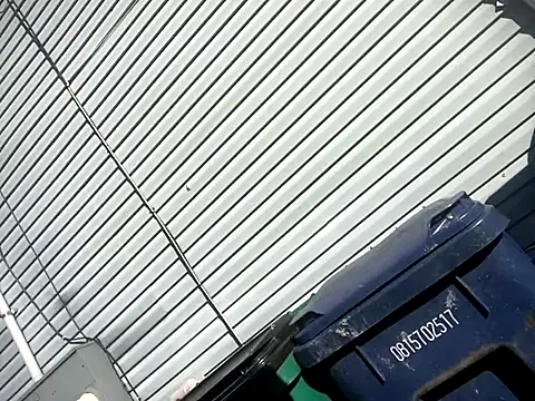 Chico Bellaco online show from October 6, 2:14 pm