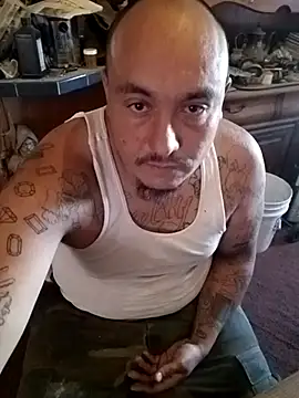 wilsons12 online show from November 10, 5:34 pm