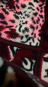 pinky801 online show from December 30, 7:32 pm