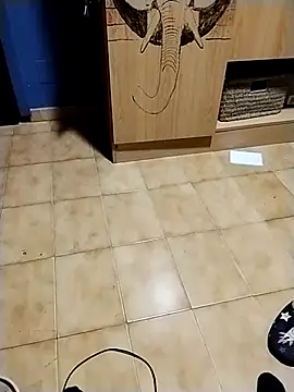 Snapshot of minitranca chatting on November 10, 9:25 pm minitranca online show from November 10, 9:25 pm