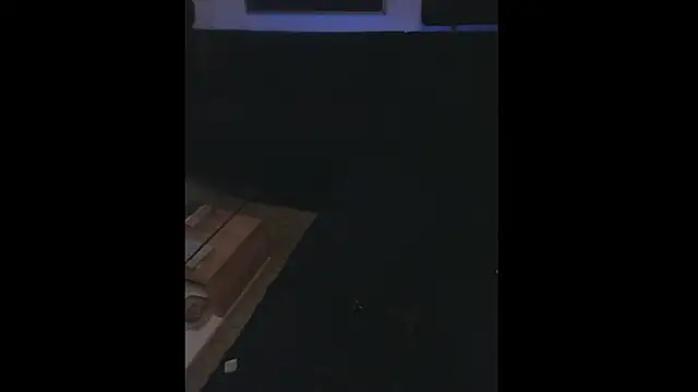 Snapshot of LuggiJack chatting on January 26, 6:27 pm LuggiJack online show from January 26, 6:27 pm