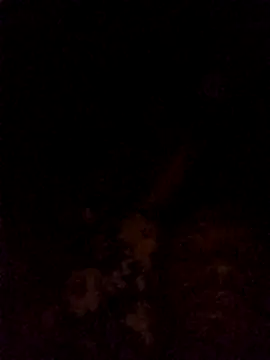 Hilkanna  online show from March 8, 9:29 pm