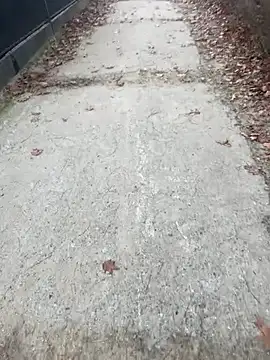 Snapshot of Tomkitomkii chatting on November 6, 2:51 pm Tomkitomkii online show from November 6, 2:51 pm