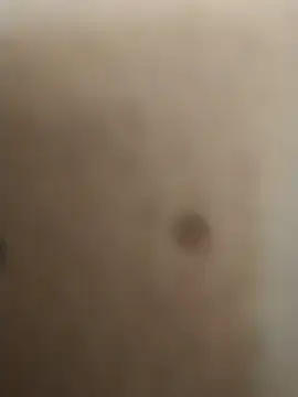 rohitlov150 online show from February 15, 9:05 am