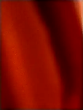 rohitlov150 online show from December 18, 4:24 pm