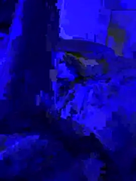 Naylee   online show from July 4, 8:26 pm