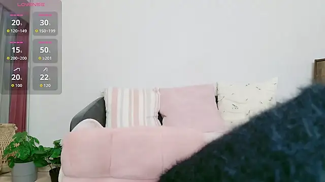 cohaku 329 online show from January 18, 11:14 am