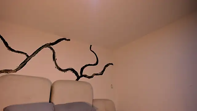 Snapshot of EthanTravis_ chatting on February 11, 7:33 am EthanTravis online show from February 11, 7:33 am