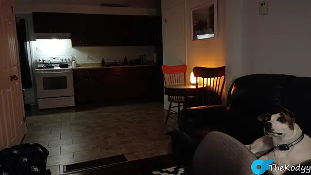 Thekodyy online show from January 9, 6:27 am