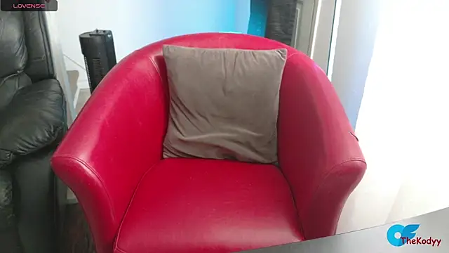 Thekodyy online show from February 6, 3:48 pm