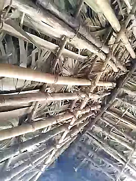 Mrveda66 online show from February 9, 6:17 am