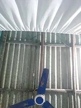 hotbaby 5 online show from November 18, 4:00 pm