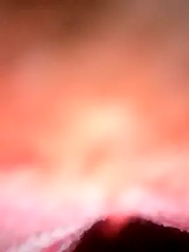 Avantika19 online show from January 6, 12:13 pm