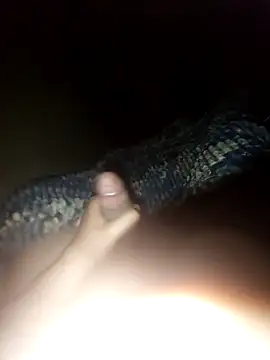 Snapshot of ch___ro69 chatting on October 18, 3:31 am ch   ro69 online show from October 18, 3:31 am