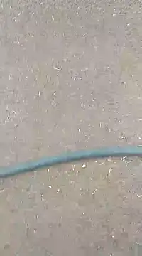 AuntyLover BhabhiLover  online show from February 7, 12:50 pm