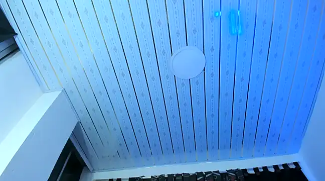nova sex01 online show from December 4, 3:59 am