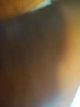 ptrz990 online show from February 17, 1:51 pm