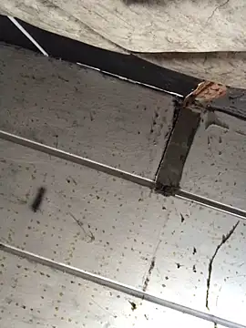 macg96 online show from December 17, 8:34 am