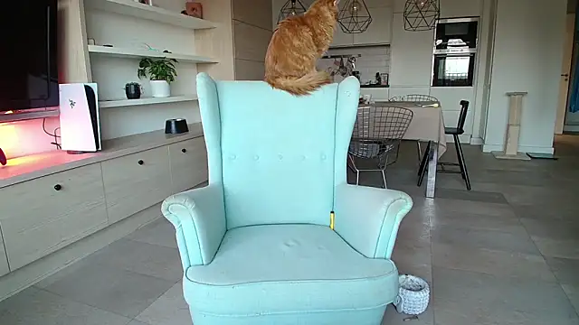 Snapshot of Kotis_Foxy chatting on October 3, 2:58 pm Kotis Foxy online show from October 3, 2:58 pm