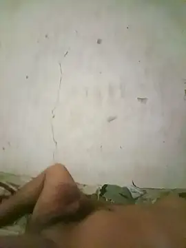 hhzp online show from October 9, 12:14 pm