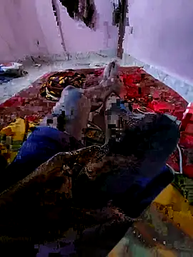 Ssdhaka11 online show from November 6, 2:51 pm