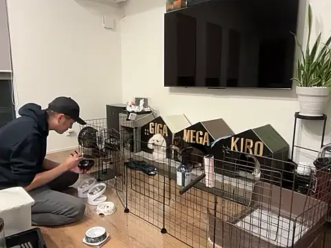 kensnb online show from October 21, 9:32 am