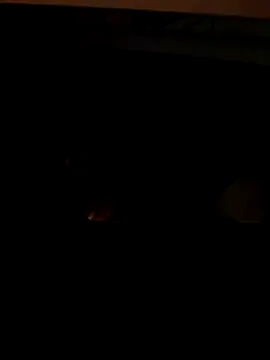 coppiapazza online show from December 18, 11:22 pm