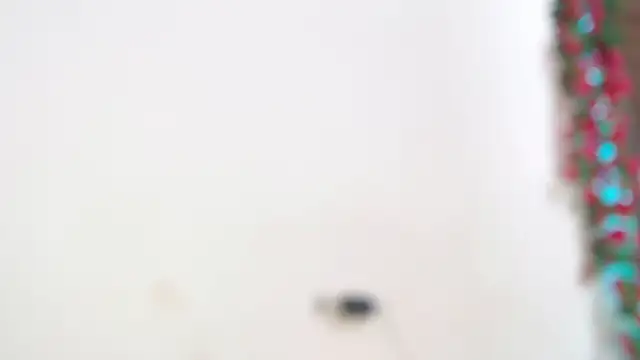 Snapshot of liissa_0 chatting on April 6, 7:15 pm liissa 0 online show from April 6, 7:15 pm