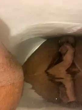 SensualG300 online show from January 17, 3:00 am